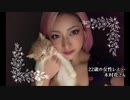 木村花さんに群がった異常者たち / メディアのダブスタ / 自由言論と責任 / SNSの偏向、恣意的な「ヘイト」のレッテル / 「生活左翼」の心理、芸能人の政治発言 などいろいろ