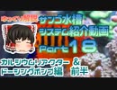 サンゴ水槽 システム紹介動画 Part18 カルシウムリアクター＆ドーシングポンプ前半