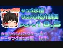 サンゴ水槽 システム紹介動画 Part18.5 カルシウムリアクター＆ドーシングポンプ後半