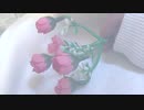 【オリジナルMV】聞こえますか【猫系女子が歌ってみた】【猫春】