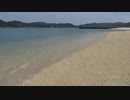 2018 奄美大島 3 奄美の夜の宴