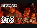 【実況】過ぎ去りし脳筋を求めて【DQ11S】　part255