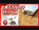 【食べても大丈夫⁉】レオパの床材をデザートブレンドに変えてみた【天然素材】
