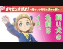 【ポケモン盾剣】ポケモン大好き！〜俺なりの神6を決める旅〜#9