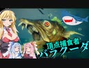 【Maneater実況03】安高価ゲーム好きの琴葉姉妹とサメと初めての頂点捕食者