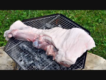 ココキャン 第36話『デカ猪肉を食べ尽くせ！』