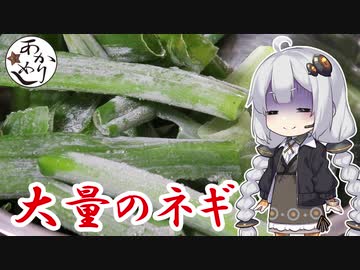 あかりめし#2「ネギの青いところを大量にぶち込んで料理作ったらどんな味になる？」