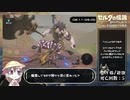 【ゼルダの伝説 ブレスオブザワイルド】ライネル全討伐RTA_再走【2時間32分58秒】Part.3/3