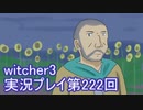 探し人を求めてwitcher3実況プレイ第222回