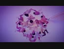 SEVENTEEN(세븐틴)  -  舞い落ちる花びら　【Love music】
