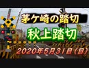 秋上踏切（茅ケ崎市）を通過するサフィール踊り子4号　2020年5月31日（日）