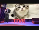 猫のすすめ-あづまてもる #TTVR 第7回 in #clusterVR