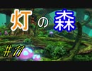 行こう！！　失った記憶を知る旅へ！【WORLD OF FINAL FANTASY】　Part11