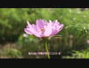 歌ってみた　ぬくもり　りーくん