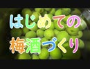 はじめての梅酒づくり