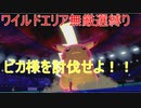 【ポケモン剣盾】ワイルドエリアで無厳選縛り　part5　前編