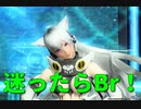 【ＰＳＯ２】初心者でやりたいクラスがないし、どれやろうか迷ってる？ならこれだ！【初心者向けBr講座：スキルツリー、ボスへ使うＰＡ、グラーブエクゼクルとの実戦解説付き】