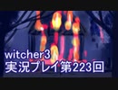 探し人を求めてwitcher3実況プレイ第223回