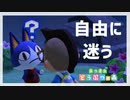 実は何回かやり直した【あつまれ　どうぶつの森】#9