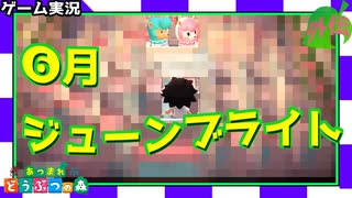 ≪あつまれどうぶつの森≫無人島だってお金はかかる外伝Ⅲ