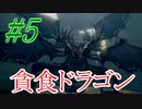 【ダクソリマスター】初めての貪食ドラゴン戦☆パート5【ボス戦のみ動画】