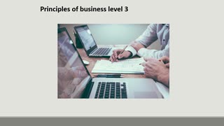 principles of business level 3