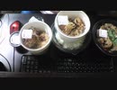 あの枠【2020/05/25】