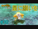 【実況】力こそ正義なポケモン救助隊【ポケモン不思議のダンジョン 救助隊DX】30階