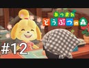 どう森シリーズ完全初見実況【あつまれ どうぶつの森】#12