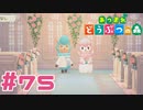【実況】リア充の写真撮影の協力をした #75【あつまれどうぶつの森】
