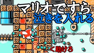 攫われた愛しのペットを助ける【スーパーマリオメーカー実況#5】