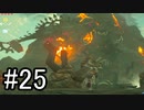 世界を冒険するべく「ゼルダの伝説 ブレスオブザワイルド」実況　part25