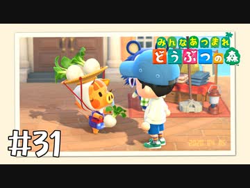 【実況】みんなあつまれ どうぶつの森 #31