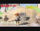 【寄り道ばかりの】ゼルダの伝説BotW【実況プレイ記録84】テルメ山の試練