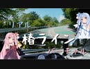 【リアルドライブ車載動画】箱根 椿ライン【バーチャルドライブ ch.】