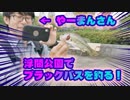 【釣り・VLOG】やーまんさんと東京の浮間公園でブラックバスとブルーギル釣り＆戸田橋・荒川でハゼ釣り！【P30 Pro】