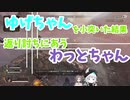 ゆげちゃんを小突いた結果、返り討ちにあうわっとちゃん