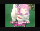 愛犬ロボ「ルーナ」
