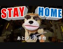 パペットに歌わせてみた｜STAY HOME（オリジナル曲　歌 Vocaloid　作詞 作曲：銀杏ふみ）