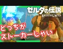 【ゼルダの伝説BotW】バクダンで大体のことは解決する大冒険 part21【実況】