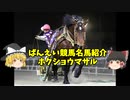 ばんえい競馬名馬紹介～ホクショウマサル～