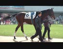 【ウイニングポスト8 2015】女馬主と早世馬の新世界【実況プレイ】404