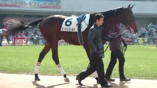 【ウイニングポスト8 2015】女馬主と早世馬の新世界【実況プレイ】404