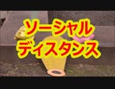 【踊ってみた】ソーシャルディスタンス【10円】