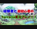経験者と超初心者のTerraria(マスターモード)実況プレイ！ Part8.5