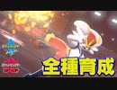 【ポケモン剣盾実況】全種育成その2【リベロエースバーン】