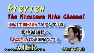 『Preview　The MizusawaMika　Channel 「C国の尖閣侵略にダンマリな親中派議員へ「あなた方は売国奴です！」」』水沢美架　AJER2020.6.4(5)