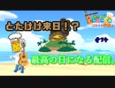 【あつ森】とたけけ来日!?!? あつまれどうぶつの森#34【24歳フリーター】【俺たちは家族だ】