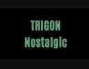 【アレンジ】Nostalgic【TRIGON】