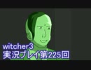 探し人を求めてwitcher3実況プレイ第225回